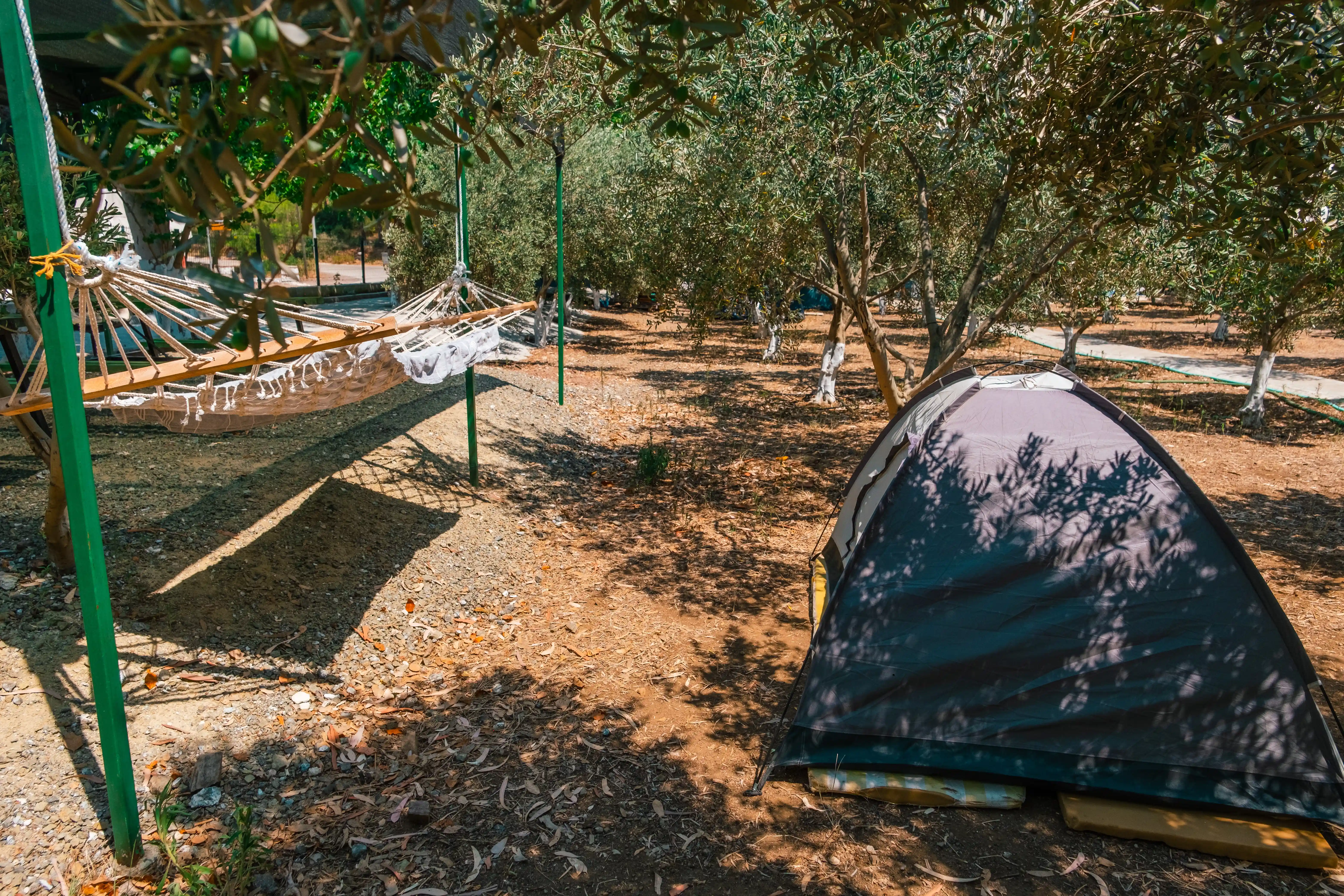 Zeytin Camping ve Apart Evleri 